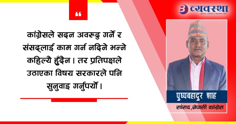 शक्ति र पहुँचका आधारमा नभई आवश्यकता हेरेर बजेट छुट्याइनुपर्छ :  सांसद शाह